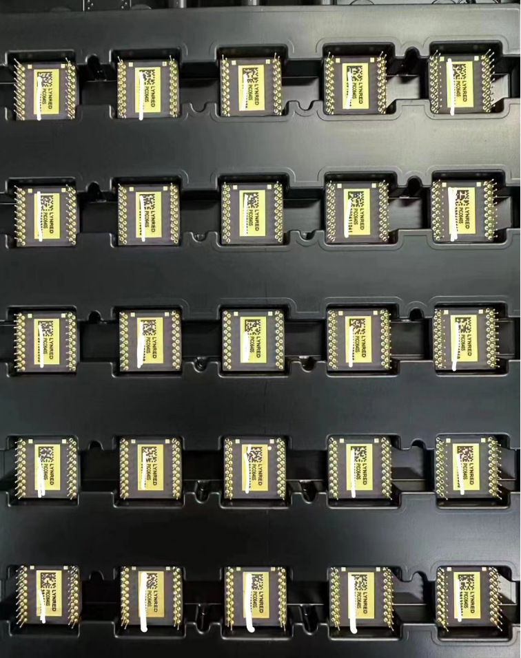 骗取5名同事、熟人共计10万元