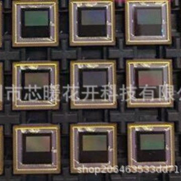 为产业长远发展注入人才活力