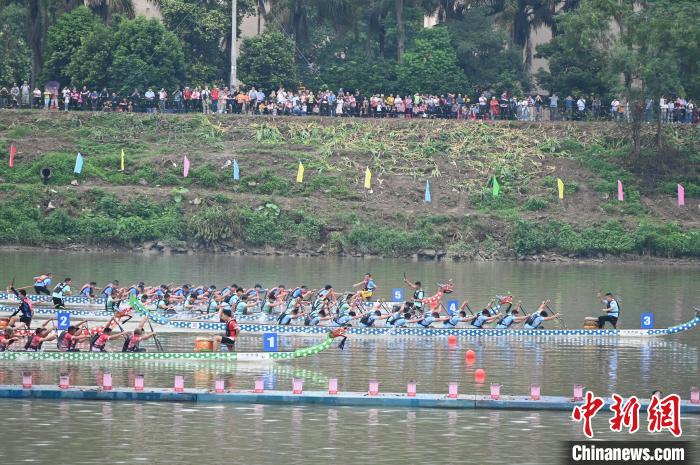 2025粤港澳大湾区龙舟赛阳山站落幕 小江镇夺冠