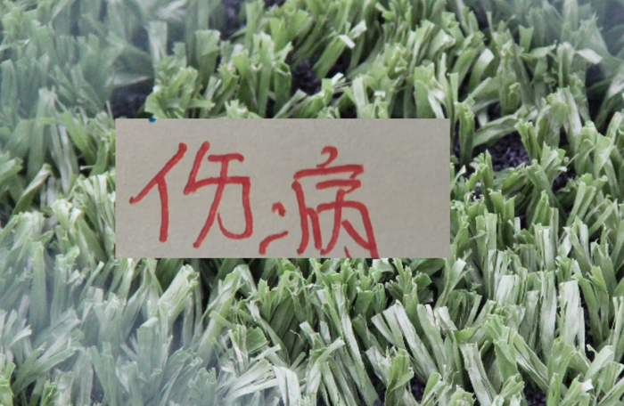 北京国安迎战成都蓉城关键战役争夺联赛冠军